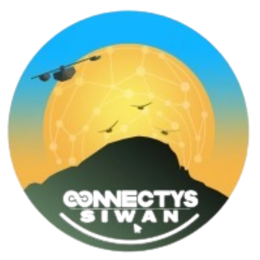Connectys Siwan Logo